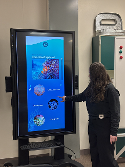 User testing session